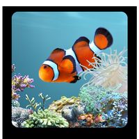 aniPet Aquarium Live Wallpaper