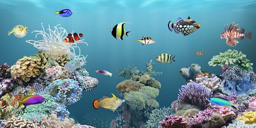 aniPet Aquarium Live Wallpaper