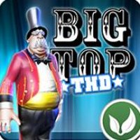 Big Top THD