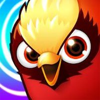 Birzzle Fever