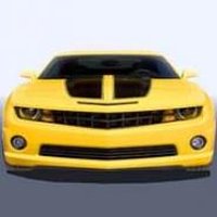 Crazy Car Driver