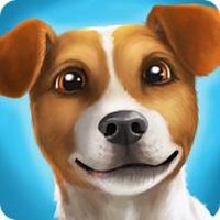 DogHotel - Мой отель для собак