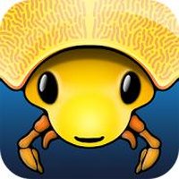 Morphopolis