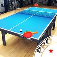 Pro Arena Table Tennis