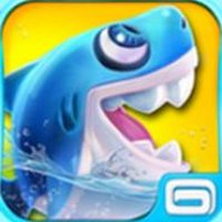 Shark Dash Live Wallpaper