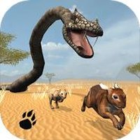 Snake Chase Simulator
