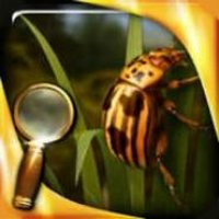 Treasure Island : The Golden Bug - Extended Edition