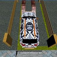 Urban Jungle Parking