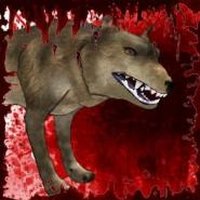 Wolf RPG Simulator