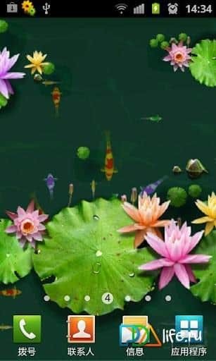 3D Fish Ponds Live Wallpaper