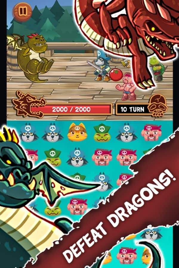 Animal Pirates