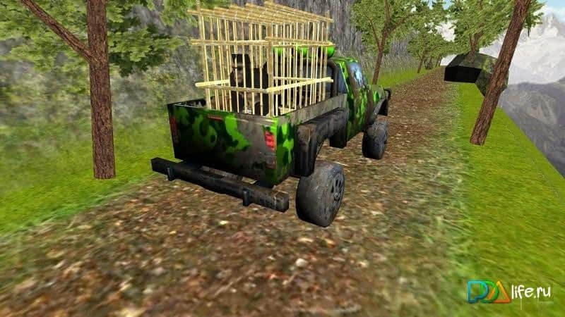 Bad Safari