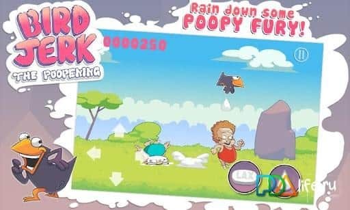 Bird Jerk