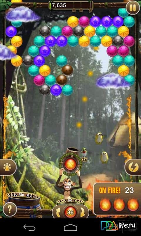 Bubble Safari