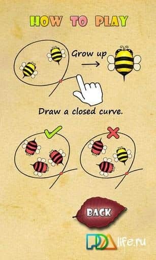Bugs Circle