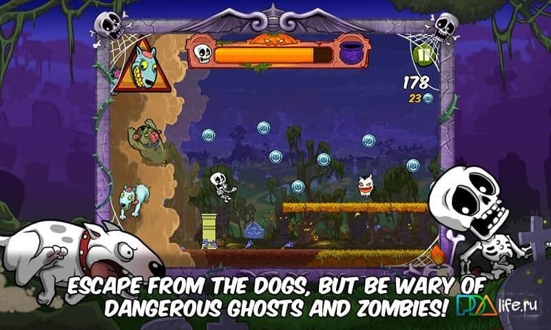 Bunny Jungle Run