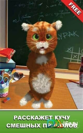 Дерзкий Барсик: новогодний кот