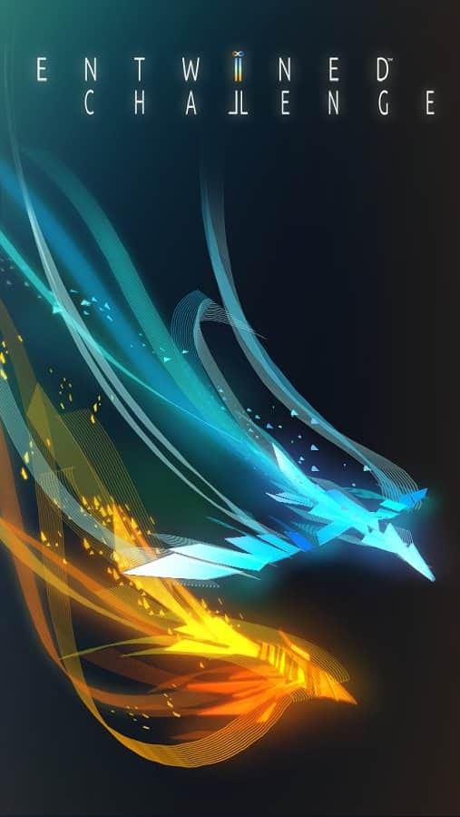 Entwined Challenge