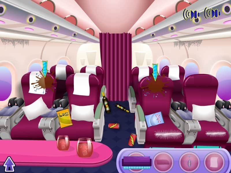 Holiday Airplane Cleaning