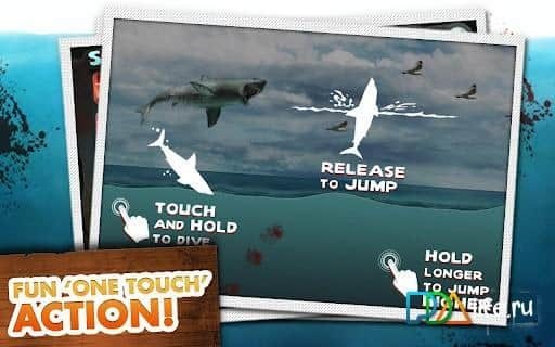 Jaws Revenge