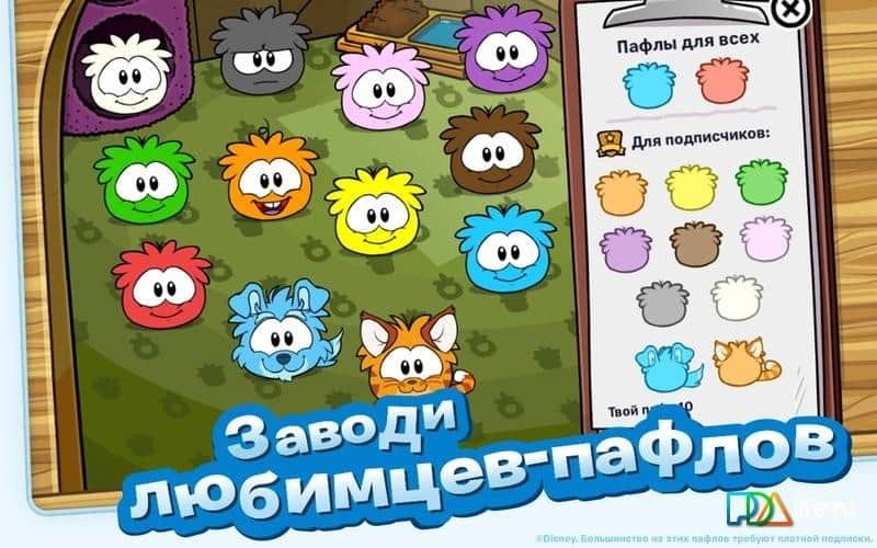 Клуб пингвинов