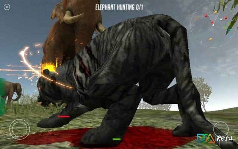 Life Of Black Tiger