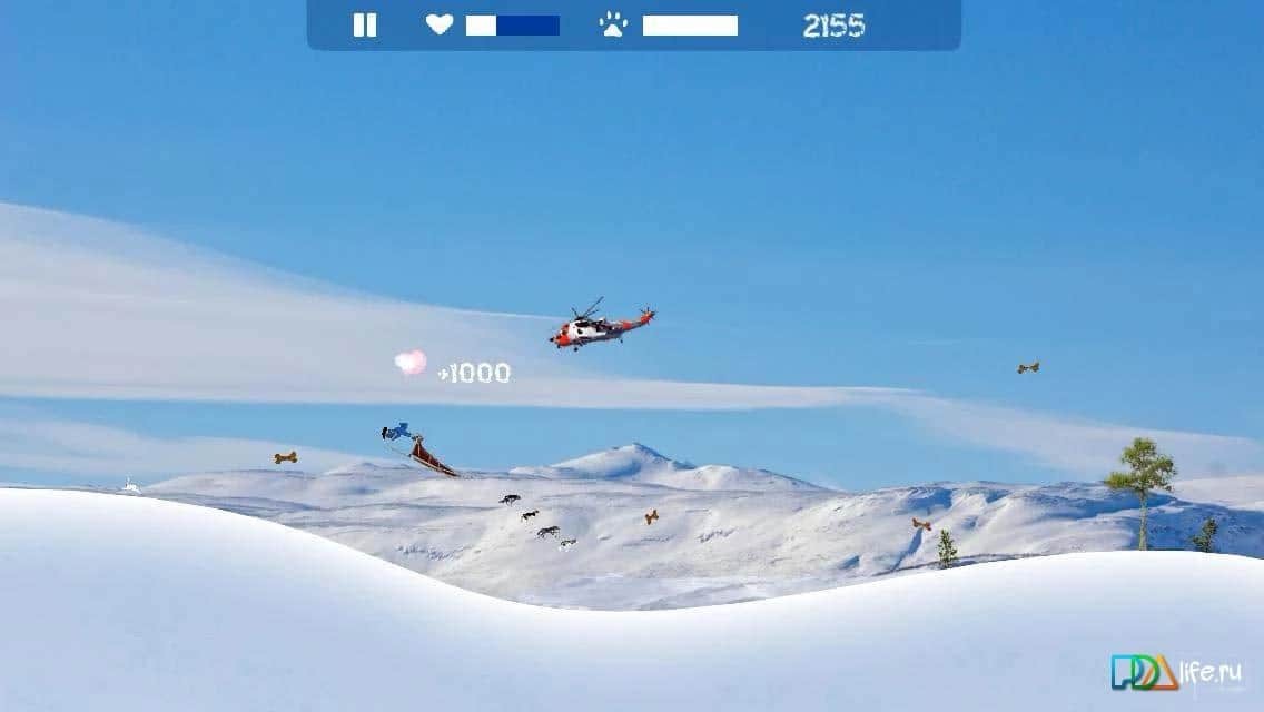 Musher