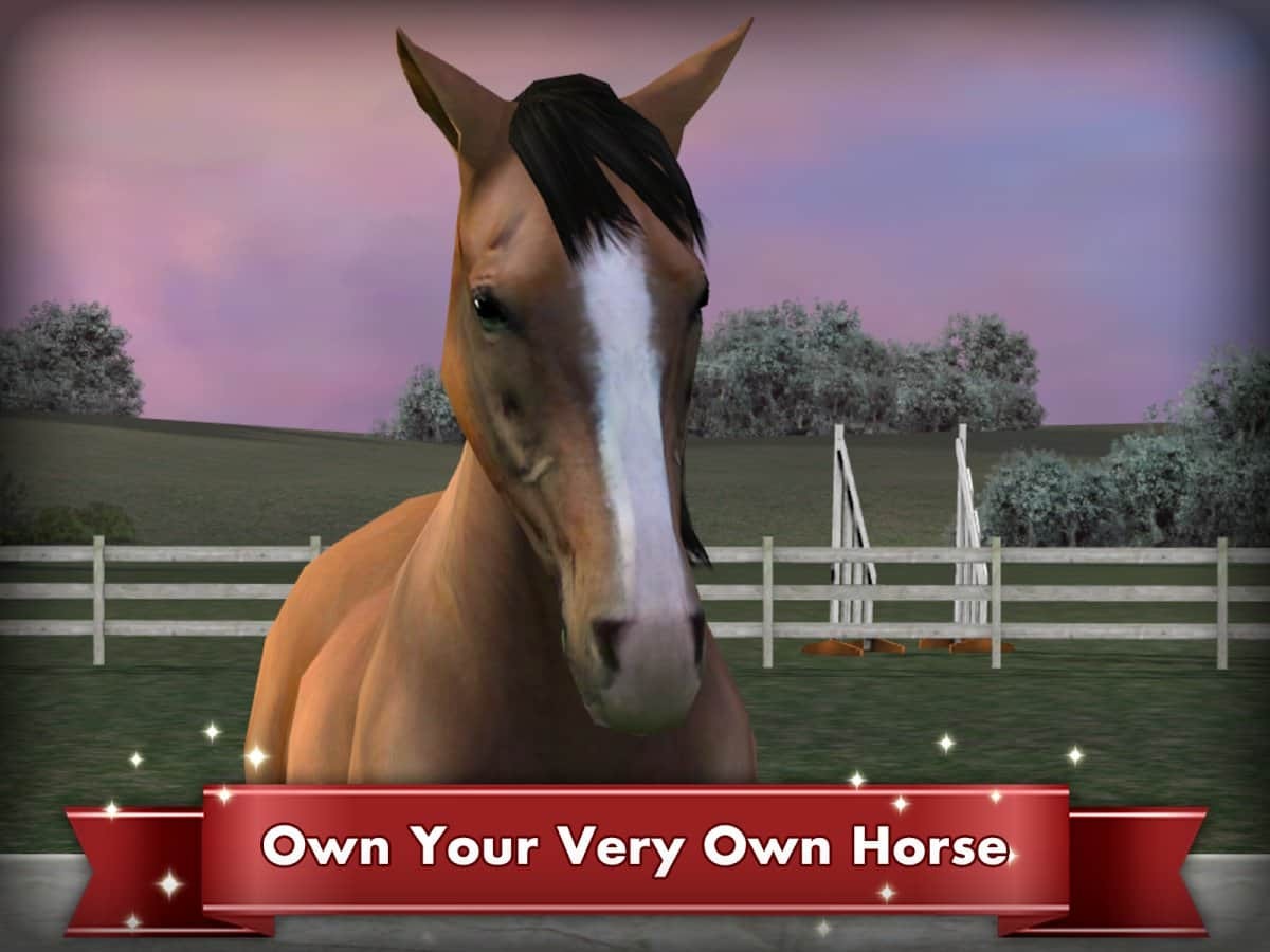 My Horse