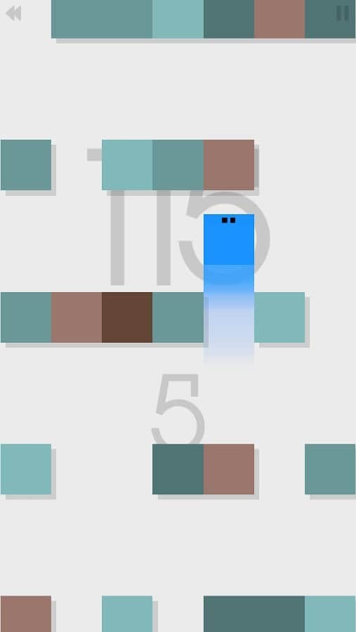 Shunt