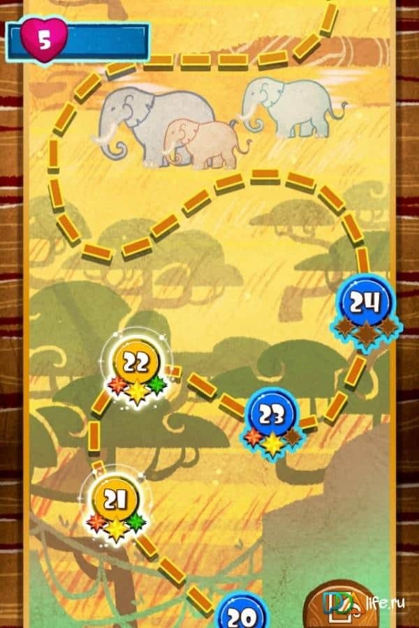 Spin Safari