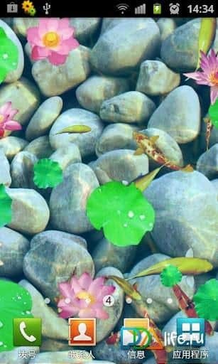 3D Fish Ponds Live Wallpaper