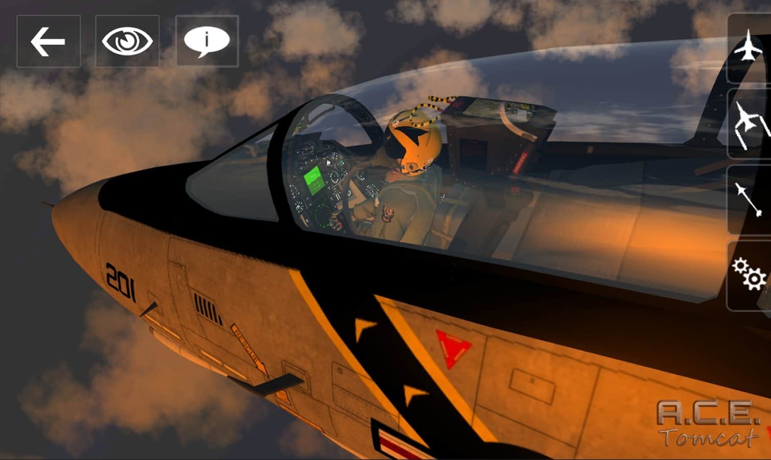 A.C.E. Tomcat