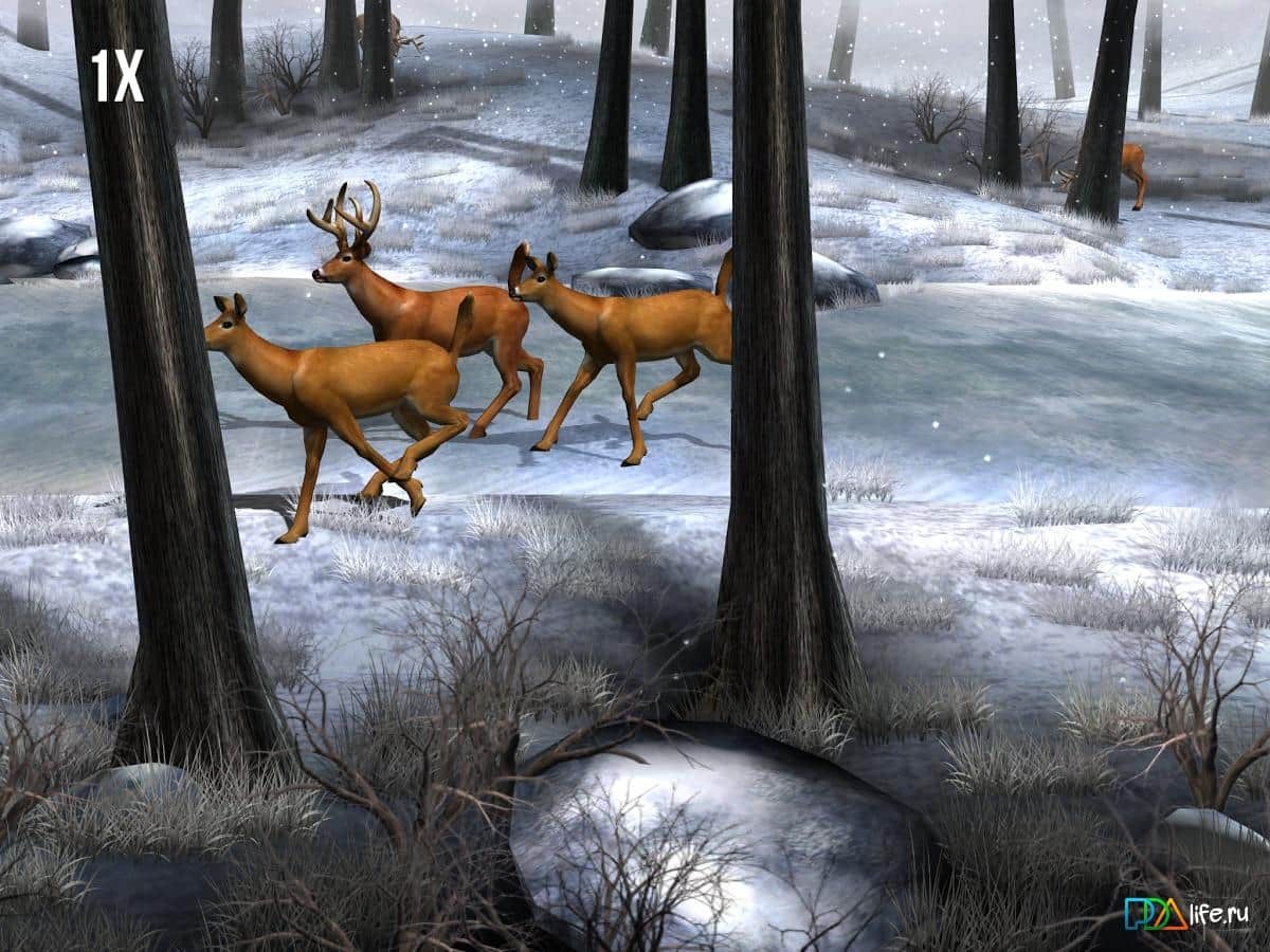 Big Buck Hunter Pro Tournament