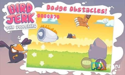 Bird Jerk