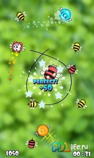 Bugs Circle