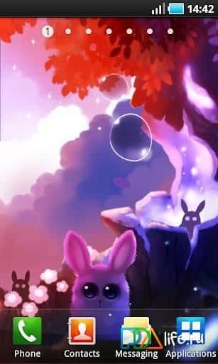 Bunny Forest