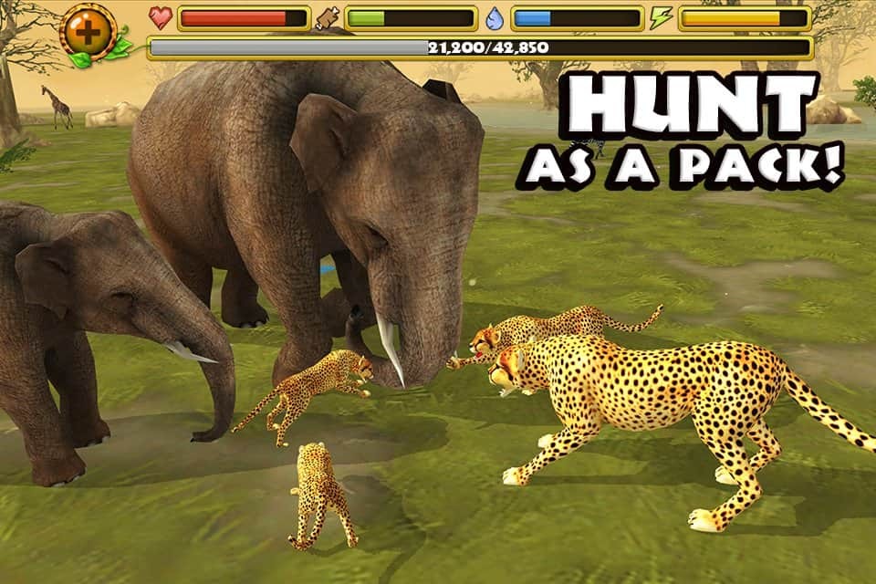 Cheetah Simulator