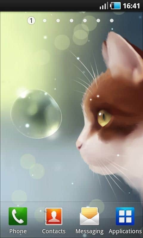 Curious Cat