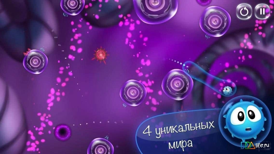 Cyto's Puzzle Adventure