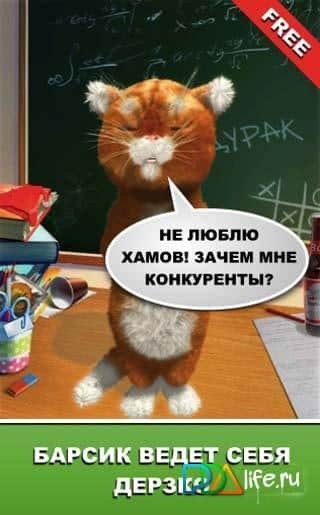 Дерзкий Барсик: новогодний кот