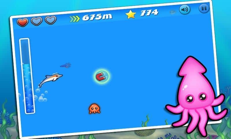 Dolphin