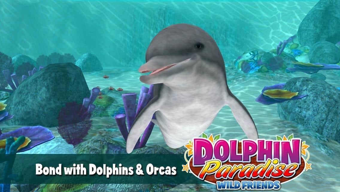 Dolphin Paradise: Wild Friends