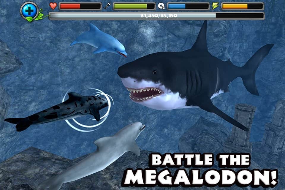 Dolphin Simulator