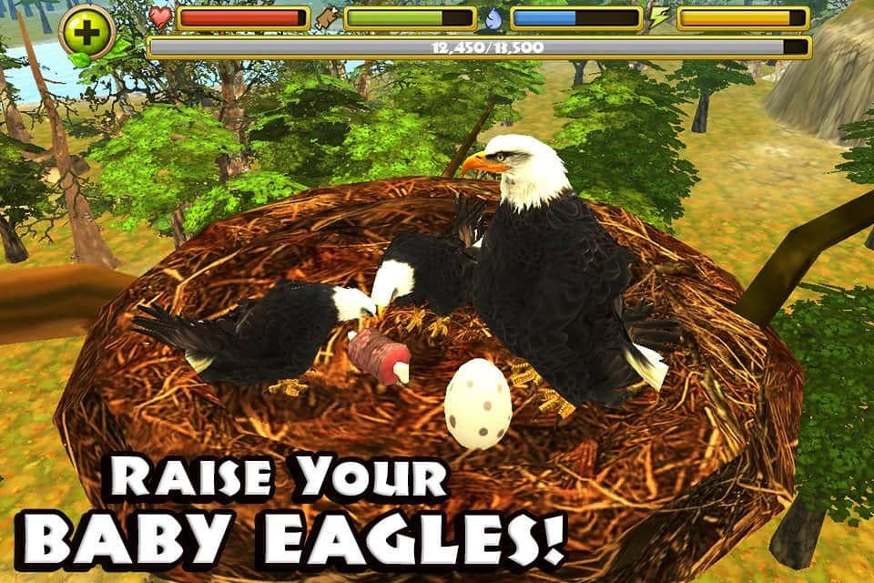 Eagle Simulator