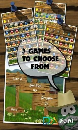 Egg Farm