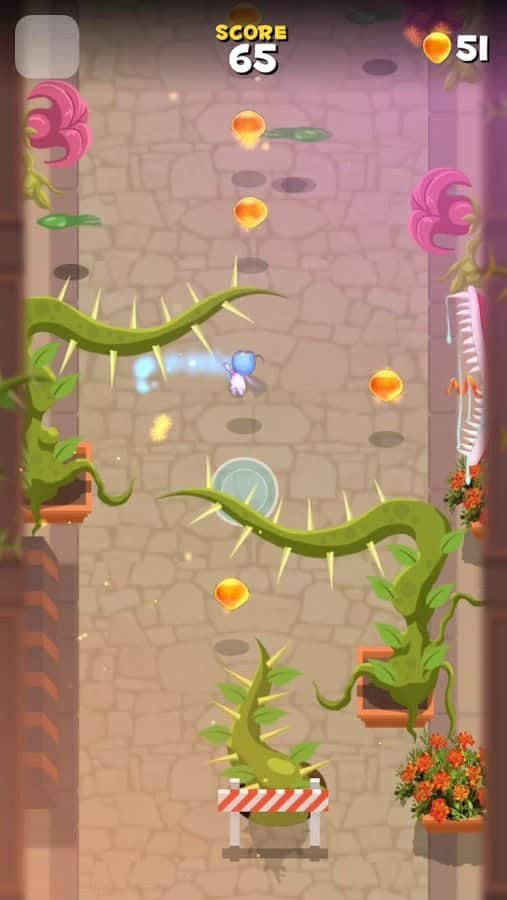 Fly By!