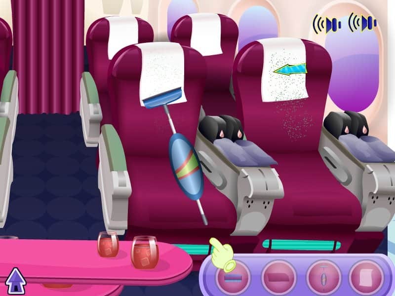 Holiday Airplane Cleaning
