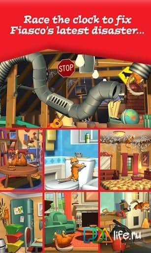 House Pest: Fiasco the Cat