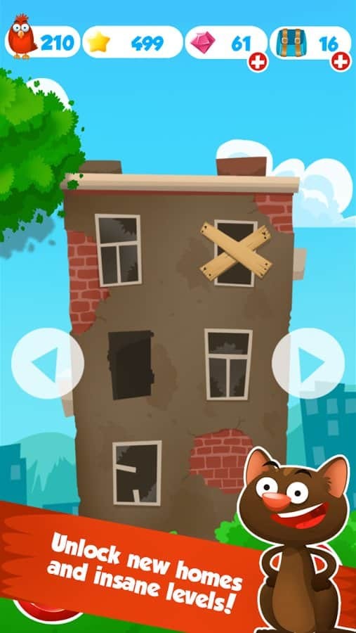 Jumpy Cat