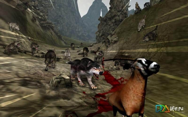 Life Of Wolf 2014